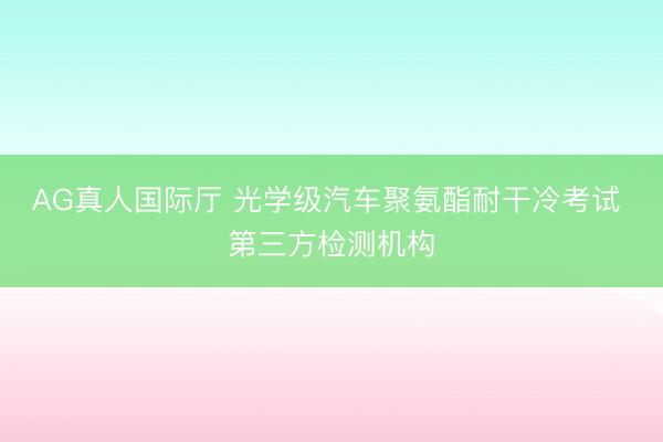 AG真人国际厅 光学级汽车聚氨酯耐干冷考试 第三方检测机构