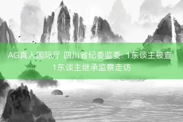 AG真人国际厅 四川省纪委监委: 1东谈主被查 1东谈主继承监察走访