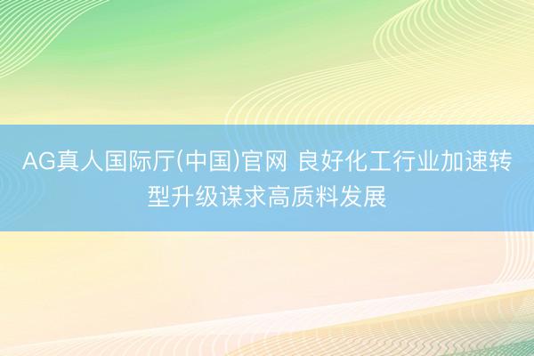 AG真人国际厅(中国)官网 良好化工行业加速转型升级谋求高质料发展