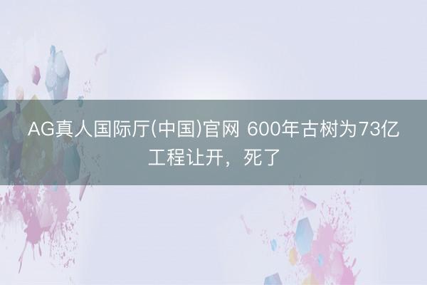 AG真人国际厅(中国)官网 600年古树为73亿工程让开，死了