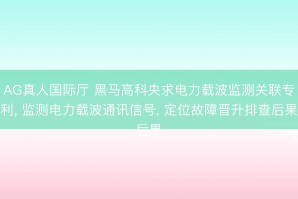 AG真人国际厅 黑马高科央求电力载波监测关联专利， 监测电力载波通讯信号， 定位故障晋升排查后果